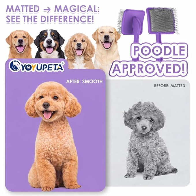 Large Dog 3 in 1 Grooming Kit, Large, Purple