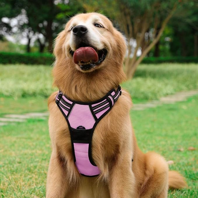 rabbitgoo Dog Harness, No Pull for Large Dogs with 2 Leash Clips, Pet Vest | No Choke with Handle, Adjustable Soft Padded, Reflective, Easy Control for Walking, Pink, Large
