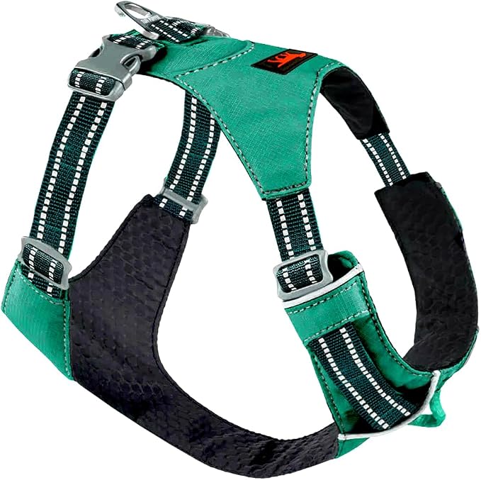 Tuff Pupper All-Day Wear Dog Harness | for Walking, Trail Running, Hiking | Front & Back Leash Clips | Reflective Trim | Easy On/Off Buckles | Lightweight Breathable | No Pull Design (Medium, Teal)