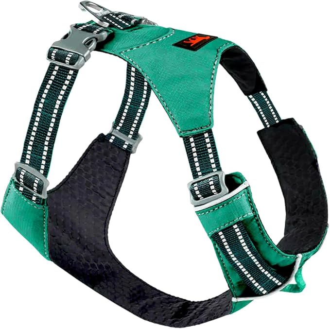 Tuff Pupper All-Day Wear Dog Harness | for Walking, Trail Running, Hiking | Front & Back Leash Clips | Reflective Trim | Easy On/Off Buckles | Lightweight Breathable | No Pull Design (L/XL, Teal)