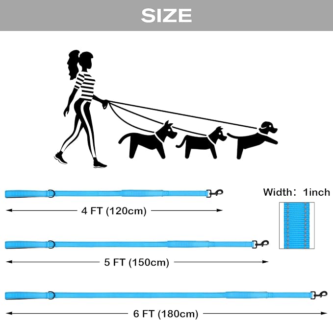 Joytale Dog Leash for Large Dogs that Pull, Double Handle, 6FT, Aqua Blue | Traffic Handle for Control, Padded Handle Reduces Hand Strain, Reflective Stitching for Night Safety, Strong Nylon Webbing