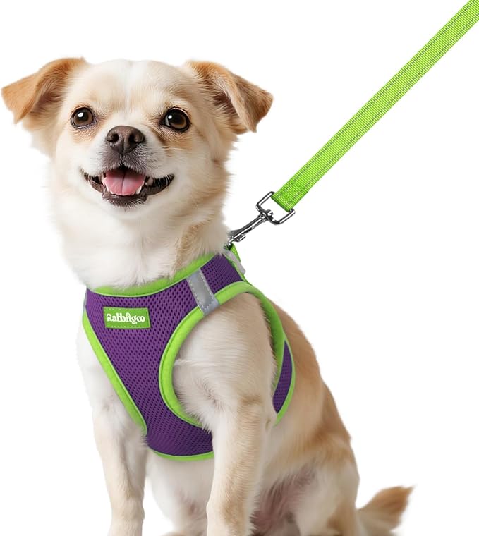 rabbitgoo Dog Harness Small Sized and Leash Set, Step in Soft Vest | Breathable Mesh, Easy Wear with Hook & Loop, Light and Reflective for Walking, Multi-colored, Purple & Green, XXS