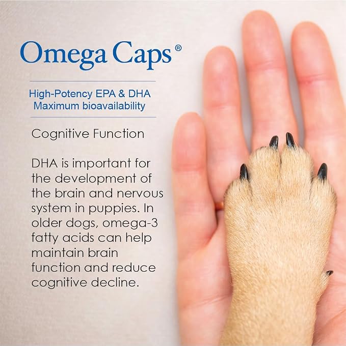 Omega Caps HP Snip Tips for Medium and Large Dogs High Potency EPA and DHA Maximum Bioavailability Fish Oil Supplement Vet Formulated Made in USA Skin Coat Joint and Heart Health 60 Capsules