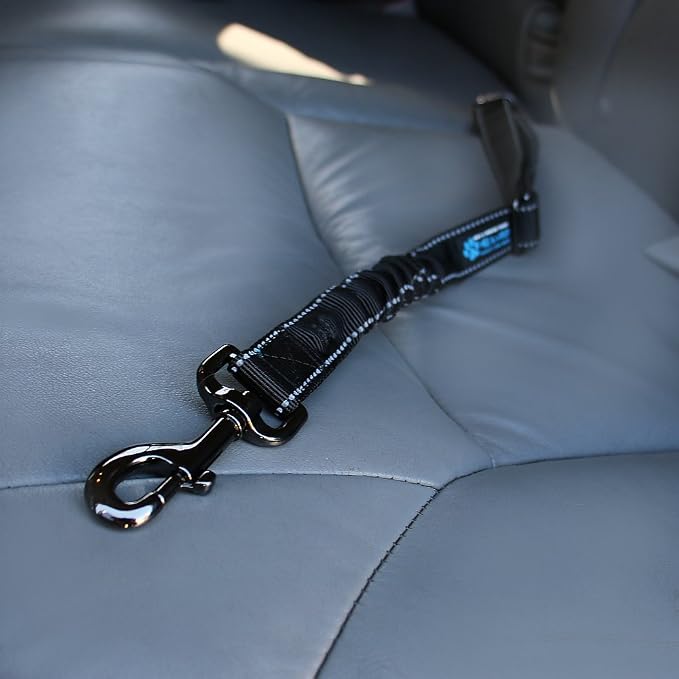 Max and Neo Dog Vehicle Seat Belt Bungee Harness - Car Leash, Donate to Rescue for Every Sale (Black)