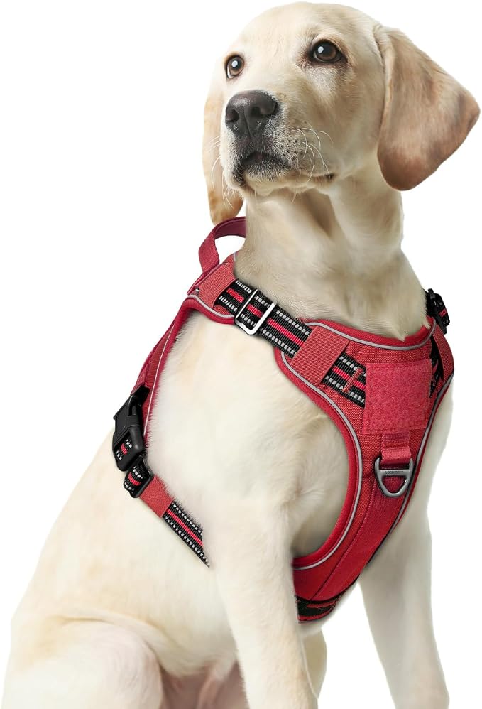 rabbitgoo Tactical Dog Harness Medium Sized, No Pull Service Pet Vest | Military Molle System & Easy Control Handle, Adjustable and Reflective for Walking and Training, Red, Medium