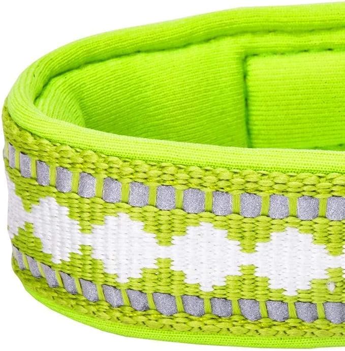 Blueberry Pet Reflective Jacquard Dog Collar with Neoprene Padding & Metal Buckle | Soft & Adjustable Safety Collar - Macaw Green, Neck 13-16.5", for Medium Breed