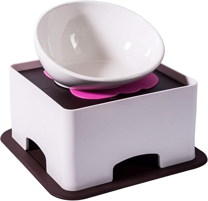 Raised Ceramic Dog Feeding Bowl,Adjustable Elevated Dog Bowls Set Anti-Slip,Standing Pet Feeding Dish for Small Medium Dogs and Cats,White