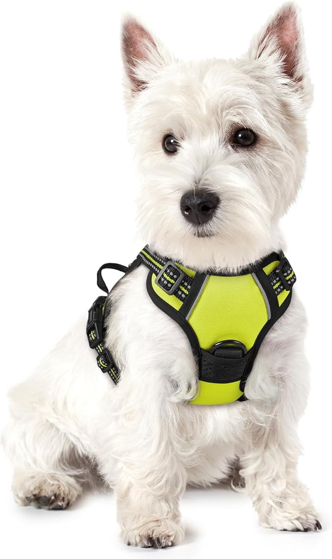 rabbitgoo Dog Harness No Pull with 2 Leash Clips, Adjustable Soft Padded, Reflective Oxford No Choke Pet Vest with Easy Control Handle for Puppy, Green, XS | No Choke with Handle, Adjustable Soft Padded, Reflective, Easy Control for Walking, Wild Lime,...