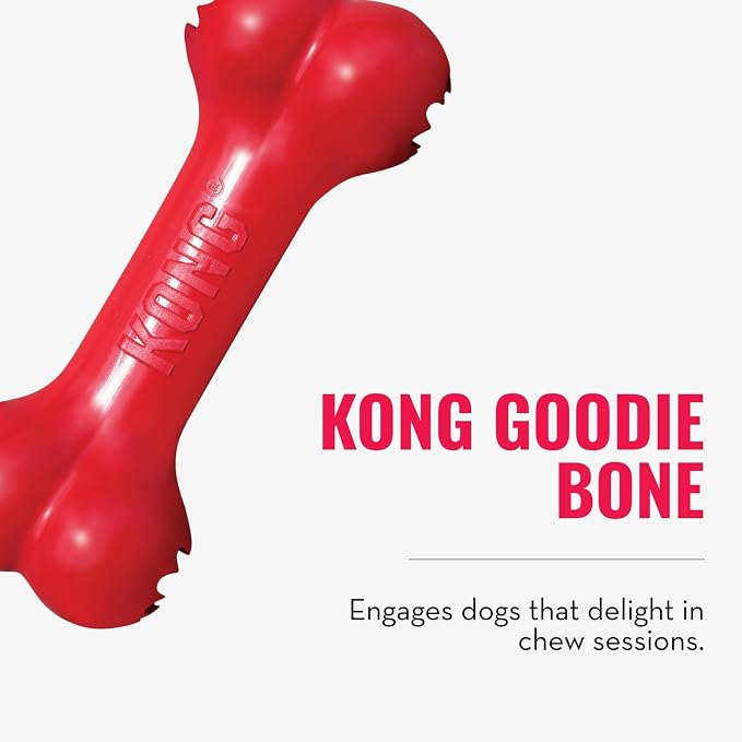 KONG Goodie Bone and Flyer Dog Toy Set, for Large Dogs | A Two-Toy Set with a Treat-Holding Rubber Bone & a Soft Rebounding Flying Disc to Enrich Daily Playtime