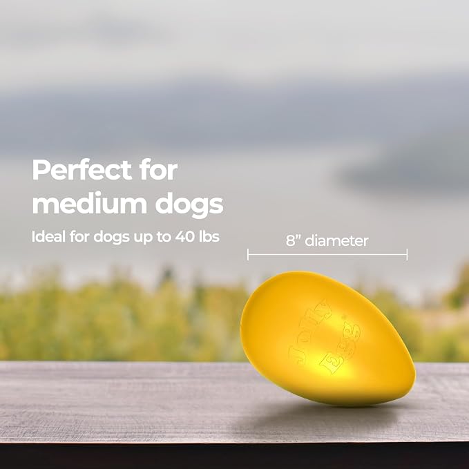 Jolly Pets Jolly Egg Herding Dog Toy, 8 in, Yellow - Erratic Roll | Egg-shaped herding ball for dogs that rolls unpredictably to trigger chase instincts, floats, and is made in the USA