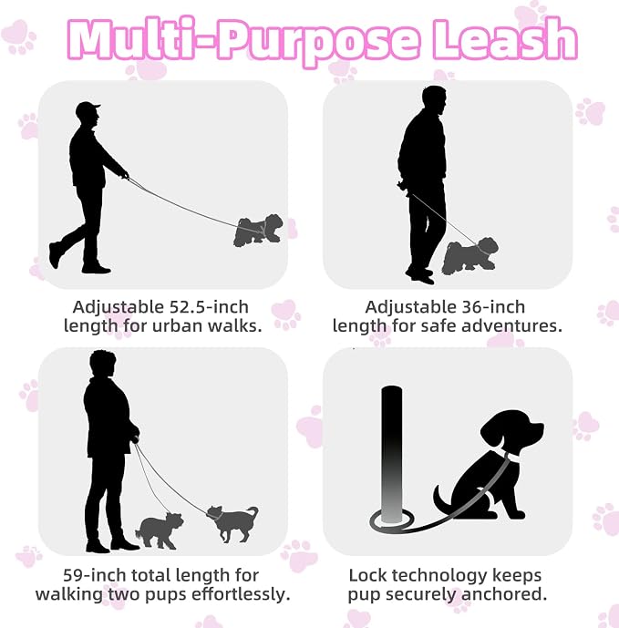 PUPTECK Dog Harness and Leash Set Small Sized, Lightweight Step-in Puppy Harness, Escape Proof No Pull Cute Pet Vest Harnesses, Purple XS