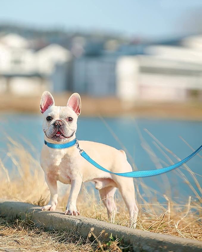 Joytale Dog Collar Bundle with 5FTx3/4 Width Double-Sided Reflective Dog Leash,5FT Nylon Dog Leashes with Nylon Dog Collar for Small Dogs,SkyBlue
