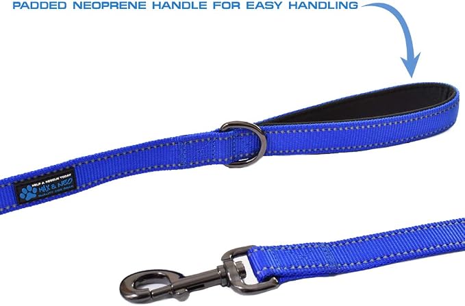 Max and Neo Double Handle Traffic Dog Leash - Reflective, Donates to Dog Rescue (Purple, 6 FT)