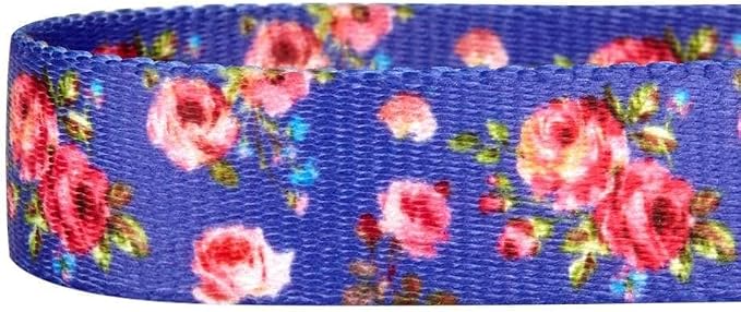 Blueberry Pet 9 Patterns Durable Spring Scent Inspired Rose Print Irish Blue Dog Leash 5 ft x 5/8", Small, Leashes for Dogs