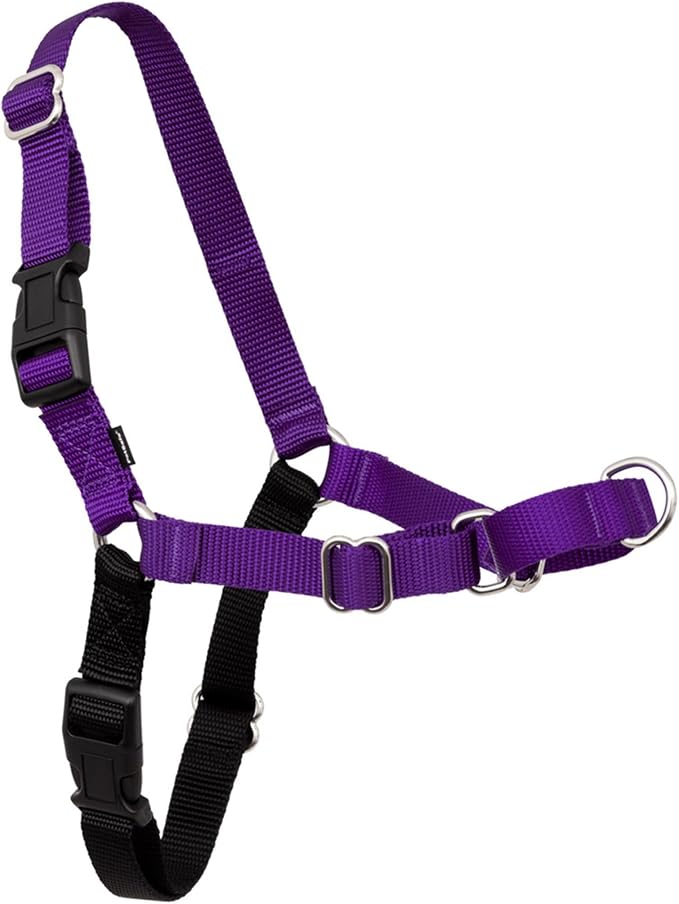 PetSafe Easy Walk No-Pull Dog Harness - Ultimate Harness to Help Stop Pulling - Pull-Free Walks - Take Control & Teach Better Leash Manners - Patented Martingale Loop Design - Deep Purple,Medium/Large