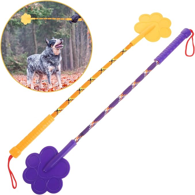 Cat Training Stick, 2 Pcs