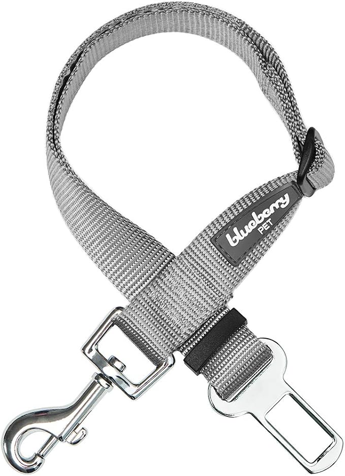Blueberry Pet Dog Leash Puppy Essentials Seat Belt Tether for Dogs Cats, Gray, Heavy Duty Dog Leashes for Large Dogs - Safety for Pet Parents, Road Trip Enthusiasts, 2"x27.5"