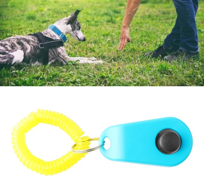 Chrees Dog Training Clicker Ring, Sky Blue