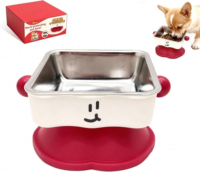 Elevated Cat & Small Dog Bowl - 30° Slanted Anti-Slip Feeding Bowl, Detachable Stainless Steel Design, Reduces Stomach Pressure, Comfortable Eating Posture, Easy to Clean, Fits Cats & Small Breeds
