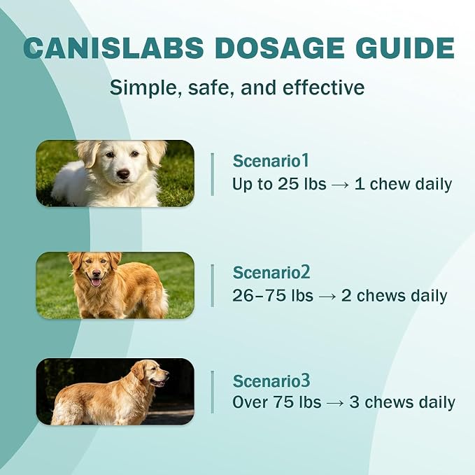 Calmaxis Chews for Dogs, Calming Chews for Dogs, Chicken Flavor - 60 chews