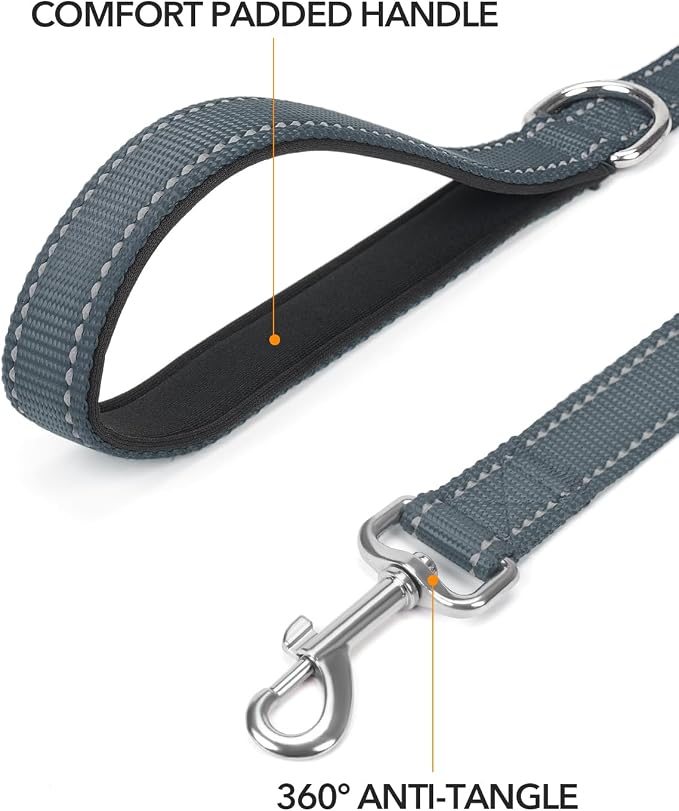 Taglory Reflective Dog Leash for Small Dogs, 3/4in x 4ft, Grey | Ideal for Night Walking, Strong for Sudden Pulls, Lightweight & Gentle on the Neck, Soft Padded Handle