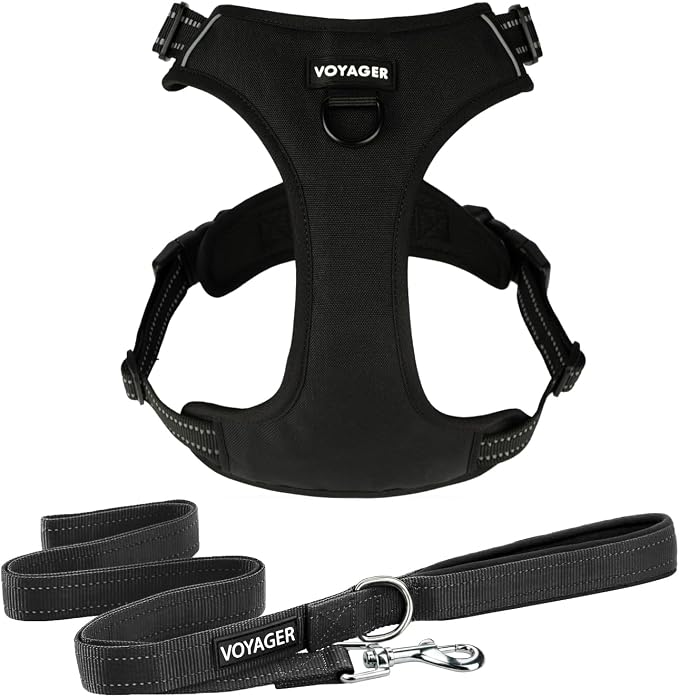 Voyager Dog Harness Dual Leash Attachment No-Pull Control Adjustable Soft but Strong Pet Harness for Medium and Large Dogs with 3M Reflective Technology, Leash Set Black Nylon, XL (Chest: 28-37")