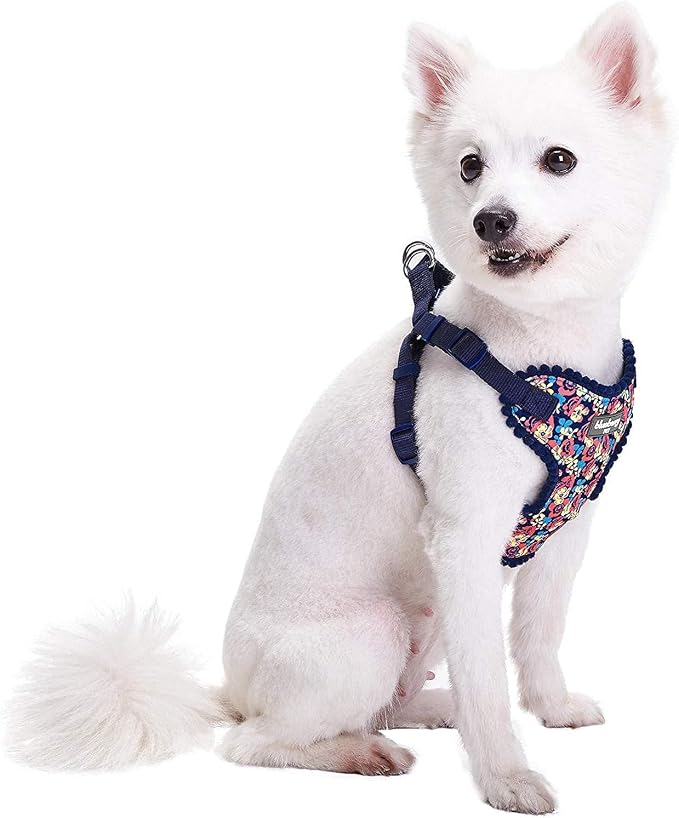 Blueberry Pet Soft & Comfy Made Well Profound Floral No Pull Mesh Puppy Dog Harness Vest in Navy, Chest Girth 14"-16", X-Small, Adjustable Harnesses for Dogs & Cats