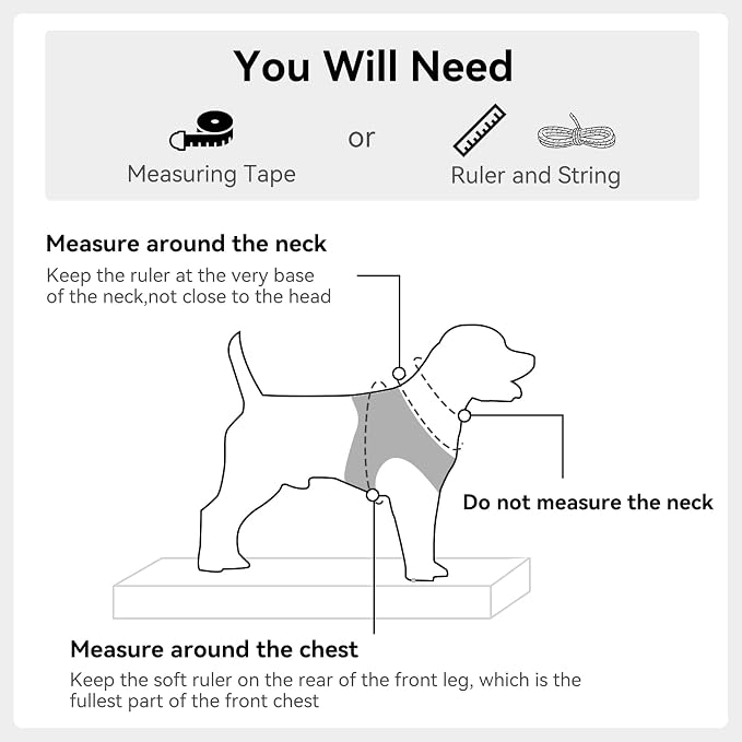 Joytale Step-in Dog Harness, Soft Breathable Mesh, Black XS | Adjustable Fit for Small Dogs, Easy Step-in with Secure Fastener, Even Chest Pressure, Reflective For Night Safety, Washable