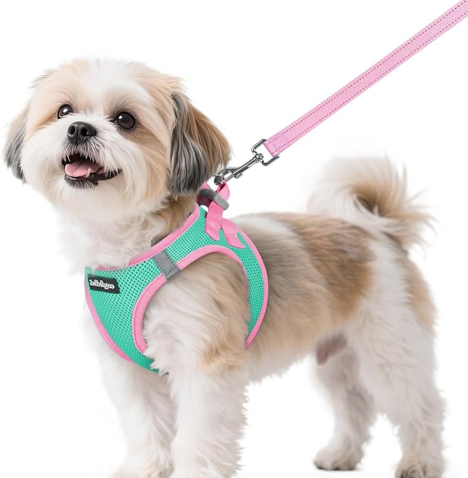 rabbitgoo Dog Harness Small Sized and Leash Set, Step in Soft Vest | Breathable Mesh, Easy Wear with Hook & Loop, Light and Reflective for Walking, Multi-colored, Teal & Pink, S