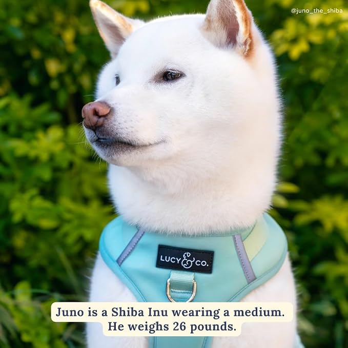 Lucy & Co. The Spring Green No-Pull Dog Harness - Size X-Large- Vest to Stop Pulling & Walk Easy - Comfortable Leash Training Product w/Adjustable Chest & Neck Straps