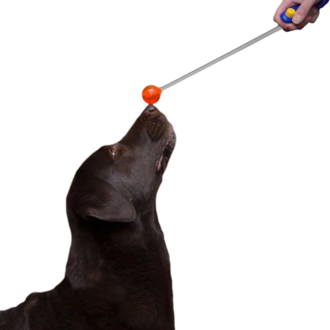 Lollipop Target Stick, 14in, Red