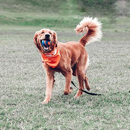 Chuckit Ultra Squeaker Ball Dog Toy Large (3" Diameter) (4 Pack)