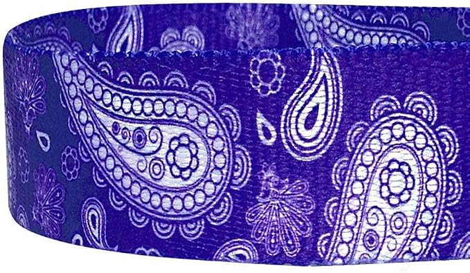 Blueberry Pet 5 Colors Paisley Flower Print Dog Leash with Soft & Comfortable Handle, 5 ft x 5/8", Violet, Small, Leashes for Dogs