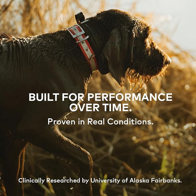 Furvor Beef Mobility Support Bone Broth Concentrate for Dogs - 12oz, 20 Servings