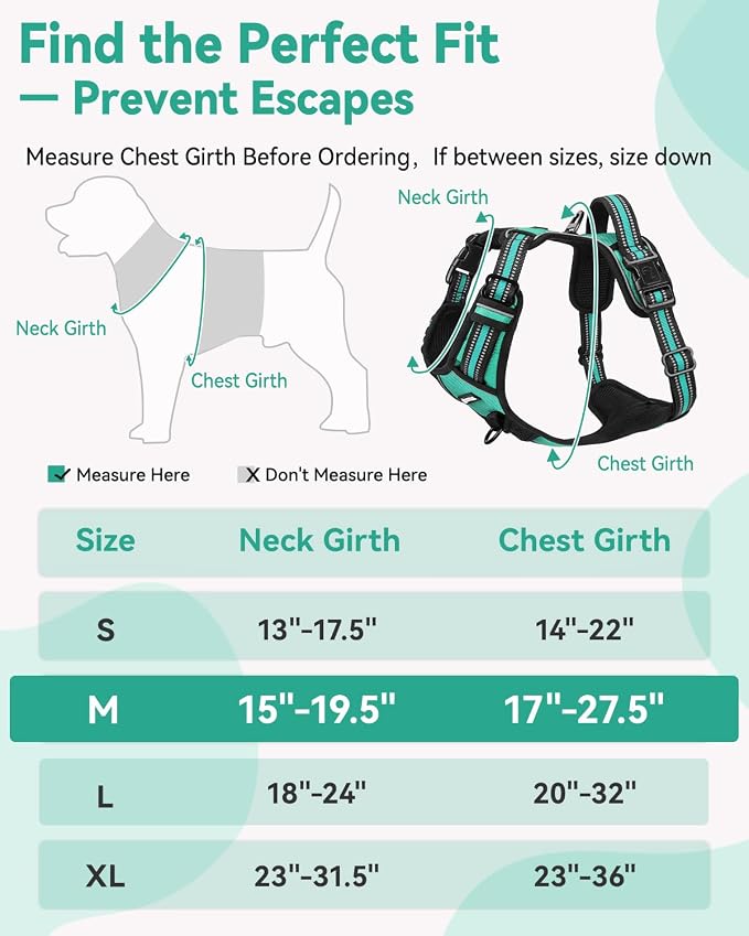 Joytale No Pull Dog Harness & Seat Belt, Easy On 3-Buckle, M, Teal | Front Clip Reduces Pulling, Escape-Resistant Design, Adjustable Fit, Soft Padding for Comfort, Secure Tether for Safer Travel
