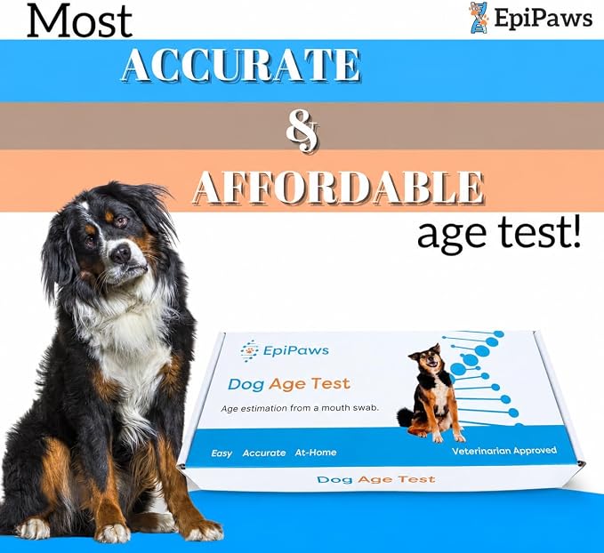 Dog Age Test