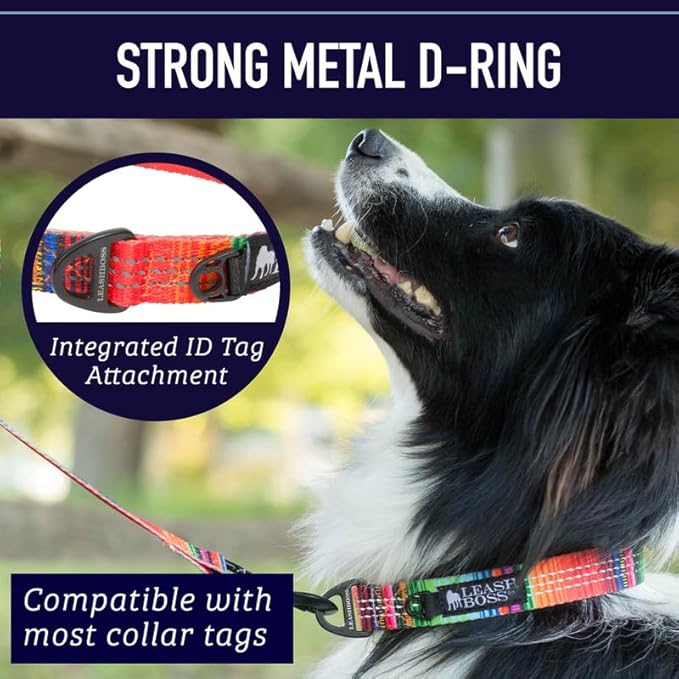 Leash Boss Adjustable Reflective Dog Collar, Quick-Release Buckle and Reflective Piping and Threads for Small, Medium and Large Dogs (Small - Blue 11.5-16" Neck x 3/4" Wide)