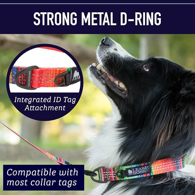 Leash Boss Patterned Reflective Dog Collar, Pattern Collection, Colorful Dog Collar with Triple Reflection Threads for Small, Medium and Large Dogs (Medium 13.5"-19.5" Neck x 1" Wide, Wave Pattern)