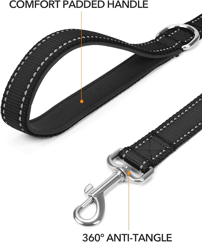 Taglory Reflective Dog Leash for Small Dogs, 3/4in x 4ft, Black | Ideal for Night Walking, Strong for Sudden Pulls, Lightweight & Gentle on the Neck, Soft Padded Handle