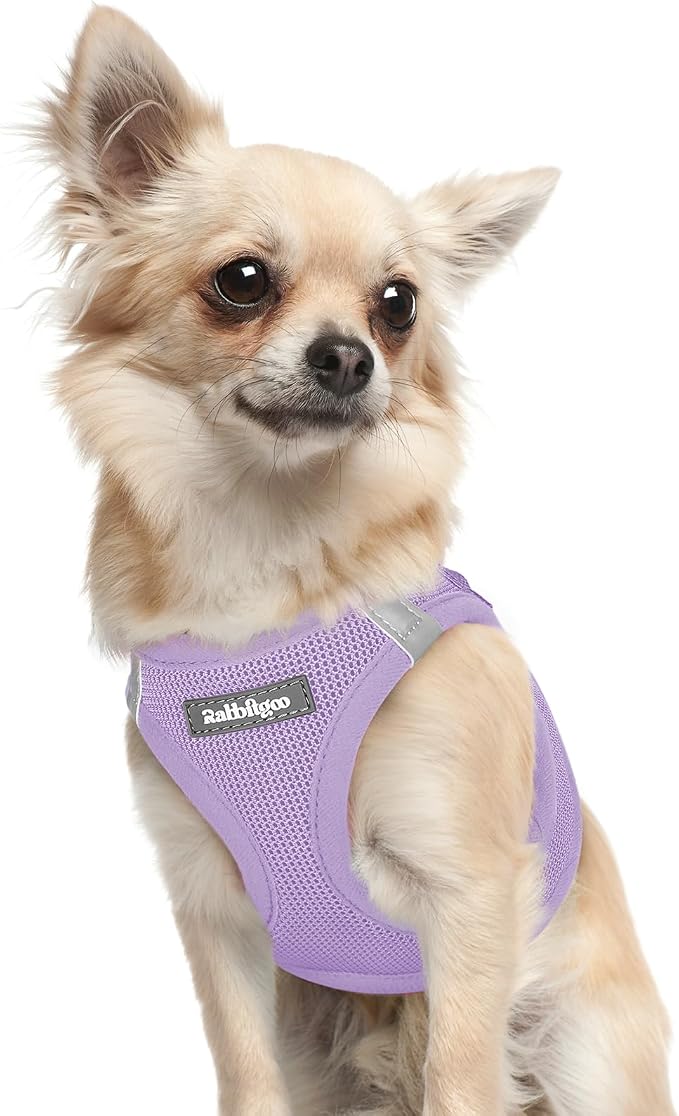 rabbitgoo Step-in Small Dog Harness, Puppy Vest for Small Sized Pet | Easy Put on and off, Lightweight, Soft, Breathable Quick-Dry Air Mesh for Comfortable Secure Walking, Light Purple XXXS