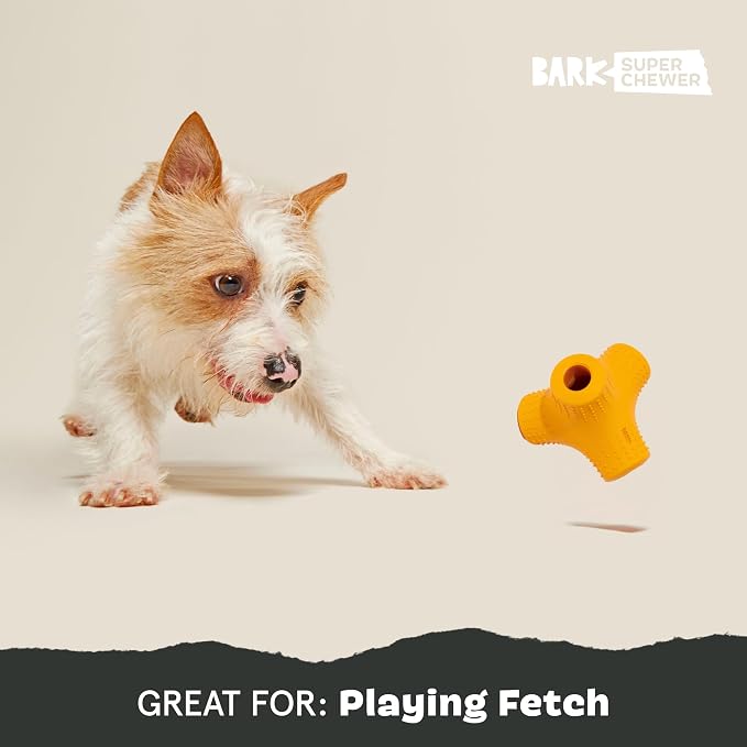 BarkBox Coral Teef Dog Toy | Wacky Bounce | Dog Toy for Aggressive Chewers