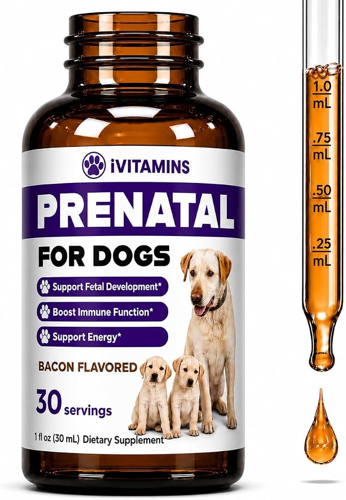 Dog Prenatal Vitamins - Prenatal Vitamins for Dogs - Includes Vitamin B Complex & Vitamin C - Dog Essentials - Whelping Supplies - 1 fl oz - Bacon Flavor