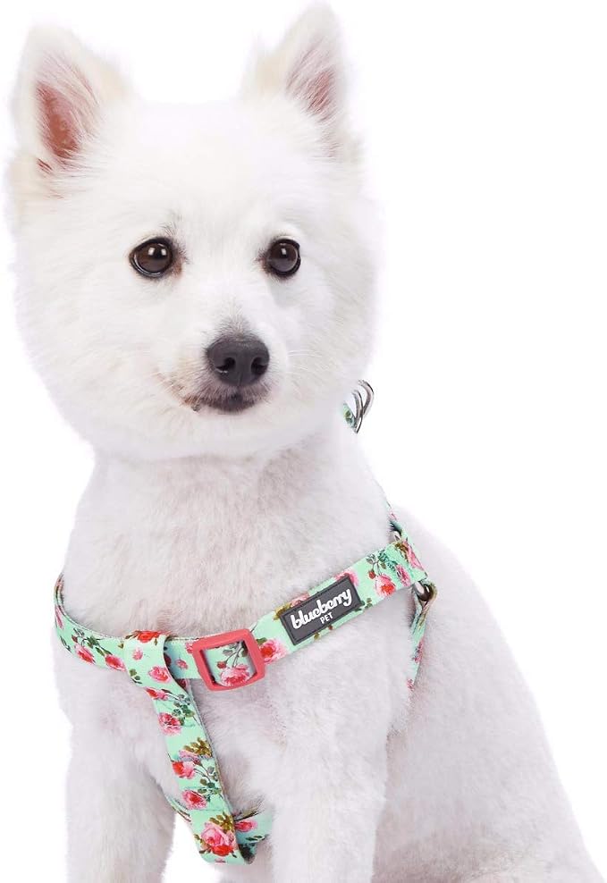 Blueberry Pet 9 Patterns Step-in Spring Scent Inspired Floral Rose Print Turquoise Dog Harness, Chest Girth 16.5" - 21.5", Small, Adjustable Harnesses for Dogs