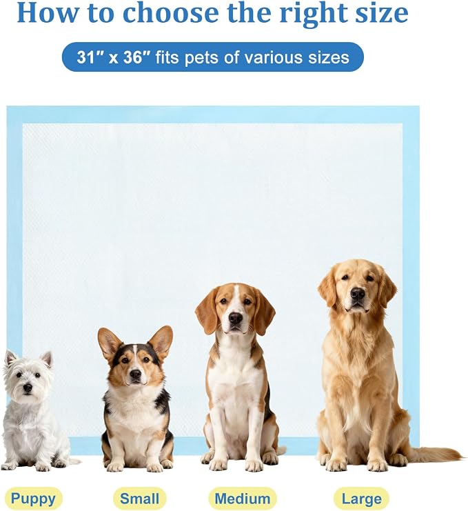 Dog Pee Pads Extra Large 31"x36" 60 Count, Disposable Puppy Training Pads, Super Absorbent Leak-Proof Pads for Dogs, Cats, Rabbits