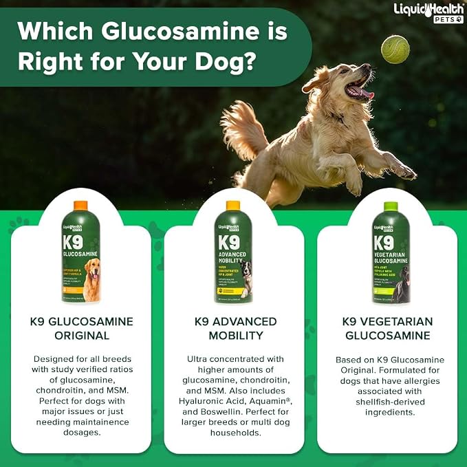 LIQUIDHEALTH Pets K9 Advanced Mobility Liquid Glucosamine Level 5000 for Large Dogs with Chondroitin, MSM, Boswellia Serrata - Dog Hip & Joint Health Vitamins, Pet Joint Oil Juice - USA Made (2 Pack)