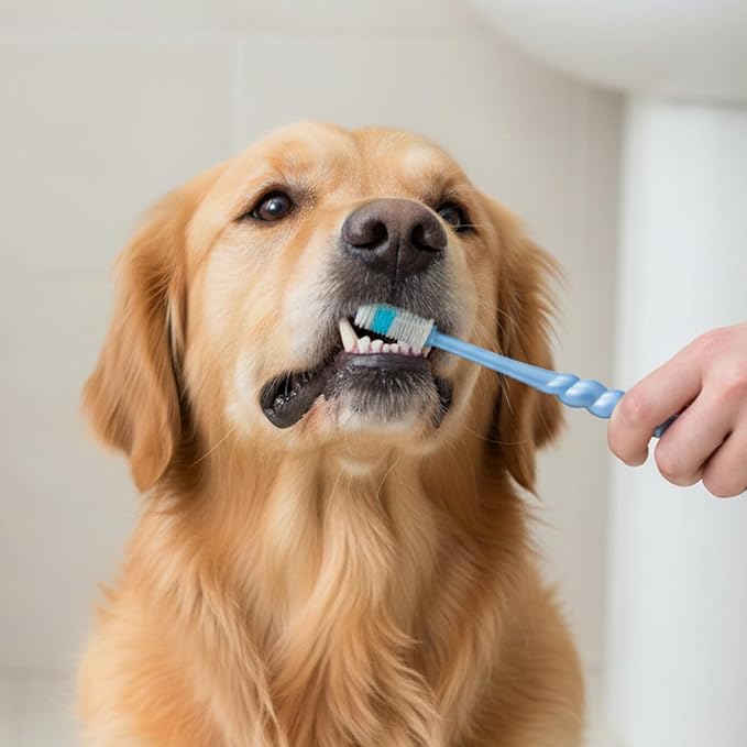 4 Pcs Cat Toothbrush 360, Deep Teeth Cleaning Cat 360 Toothbrush, 360 Toothbrushes Cat Soft Bristle Multi-Color, 360° Pet Toothbrush Round Design for Small Dogs Cats Dental Care