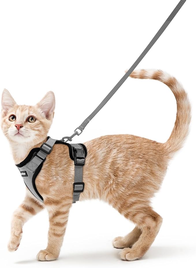 rabbitgoo Cat Harness and Leash Set, Escape Proof Vest, Grey | Soft Breathable Mesh, Easy Adjustable Fit, Snap Buckles, Sturdy Clip, Reflective Strips, for Average Cats Walks, S