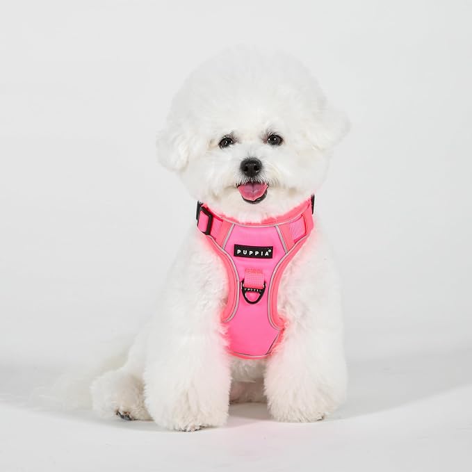 Puppia Neon Dog Harness H Sturdy Adjustable Neck and Chest Reflective Front and Back D-Ring for Small and Medium Dogs, Pink, Medium