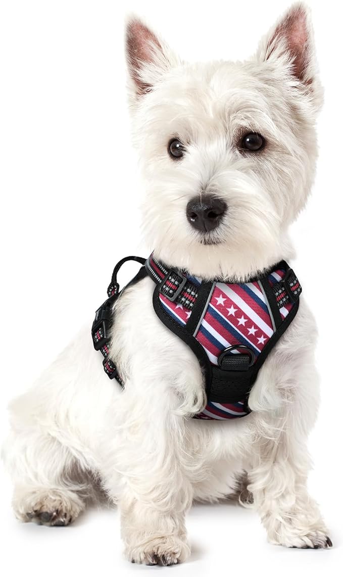 rabbitgoo Dog Harness, No Pull for Small Dogs with 2 Leash Clips, Pet Vest | No Choke with Handle, Adjustable Soft Padded, Reflective, Easy Control for Walking, Red Stripe, X-Small