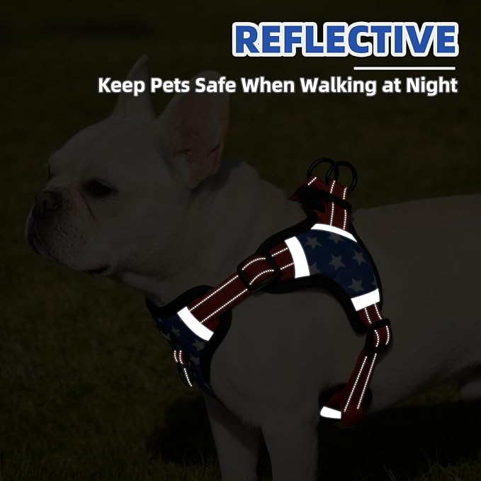 PUPTECK Dog Harness Small Sized Dog, Step in Adjustable Reflective Dog Vest Harness Escape Proof, No Pull Soft Padded Harness Easy Control, Star, M